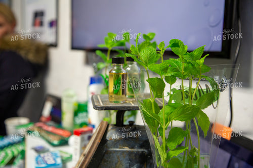 Plants and Liquids on Scale 130008