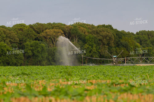 Irrigation System 79119