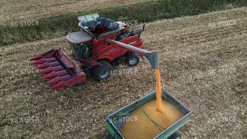 Aerial of Corn Harvest 268059