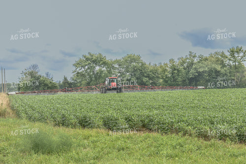 Spraying Soybeans 84116