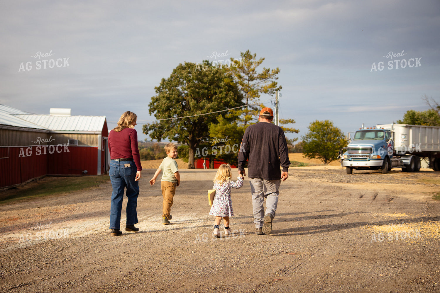 Family Walking Across Farmyard 268114