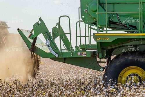 Cotton Harvest 291009
