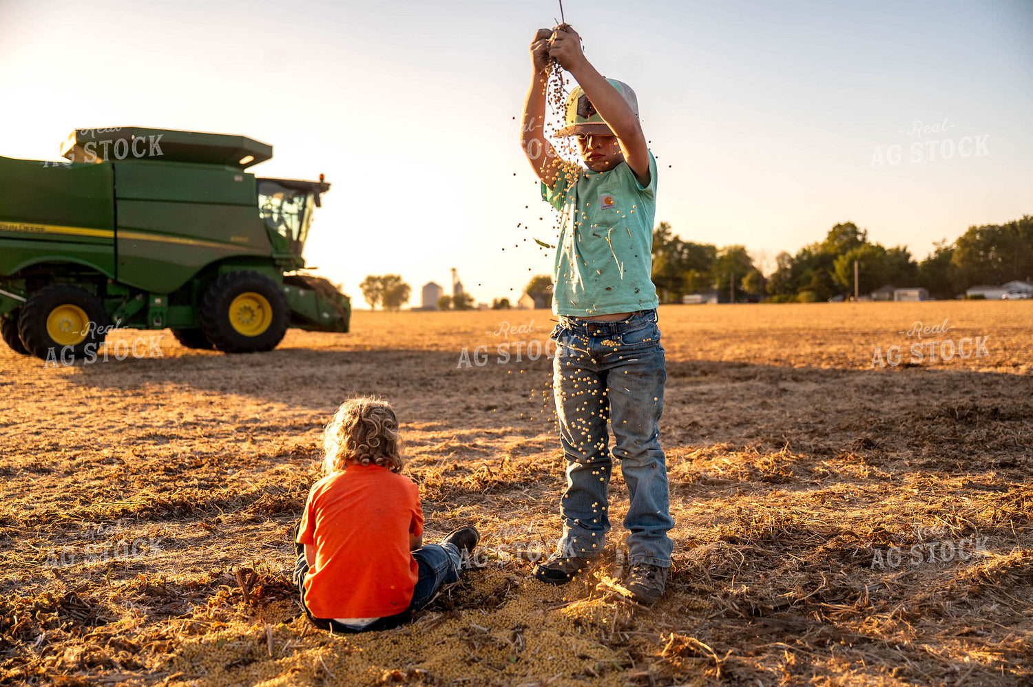 Farm Family at Soybean Harvest 115852