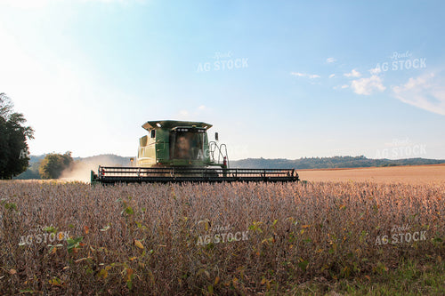 Soybean Harvest 52008