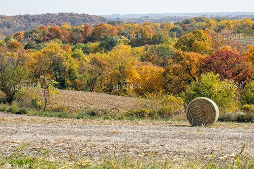 Hay Bale in Field 145005