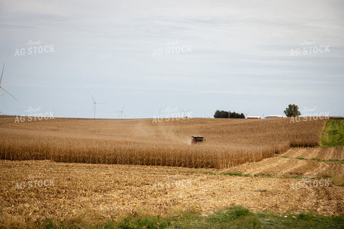 Corn Harvest 268226
