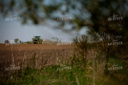 Planting 1991