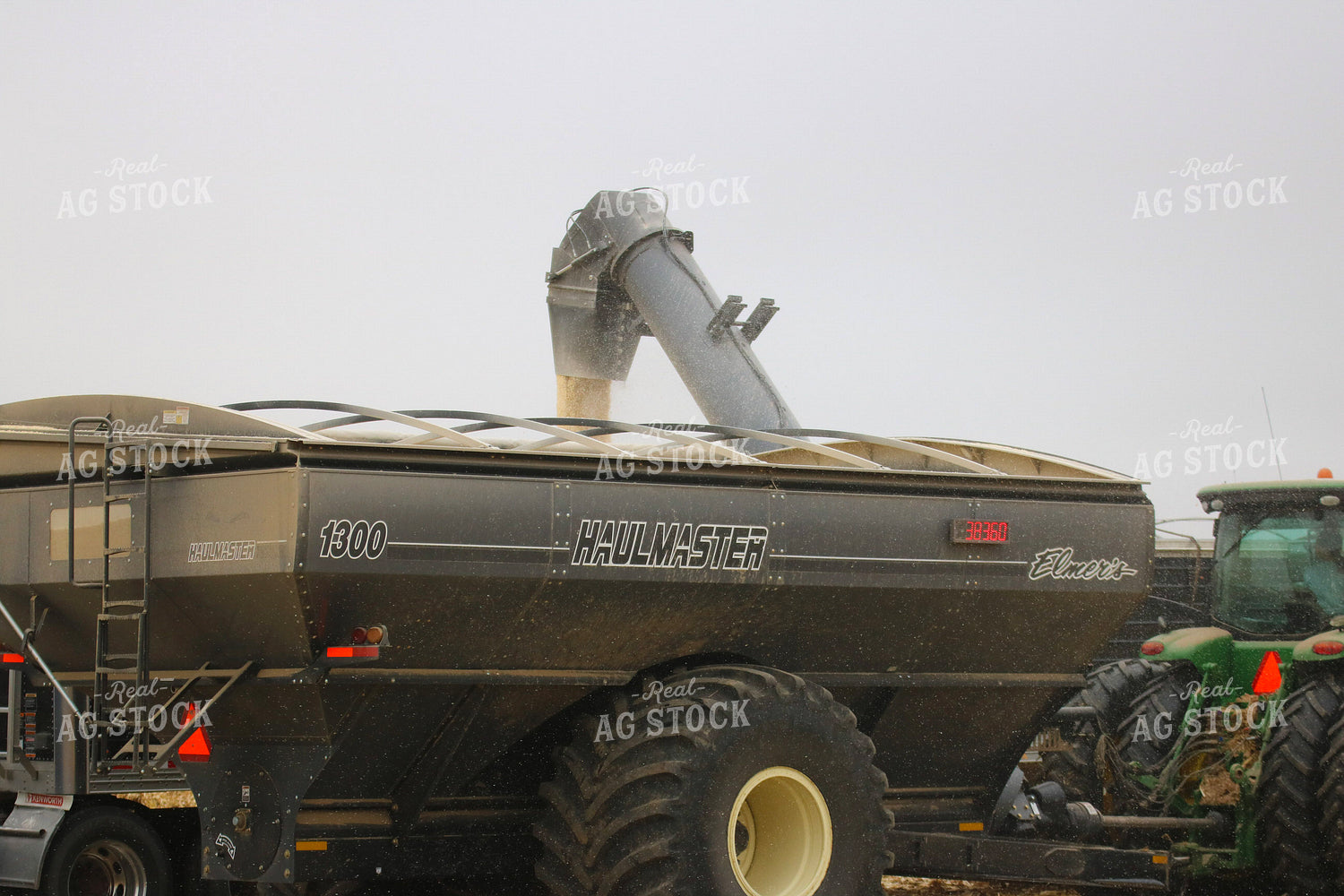 Unloading White Corn From Grain Cart 82334