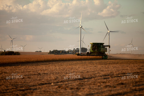 Harvest 1801