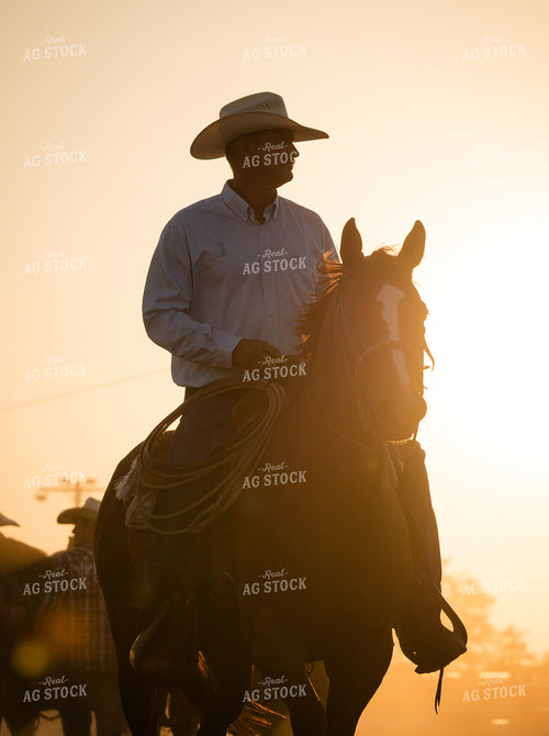 Rodeo 219127