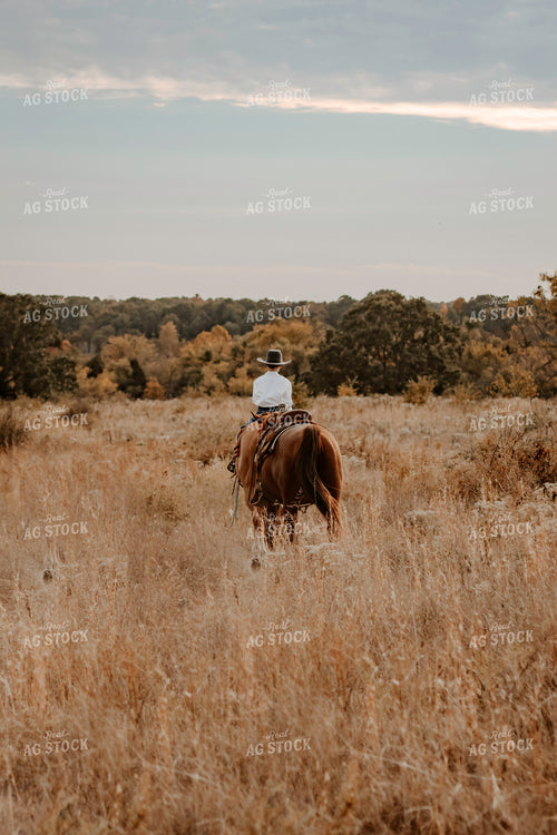 Rancher on Horse in Pasture 108031