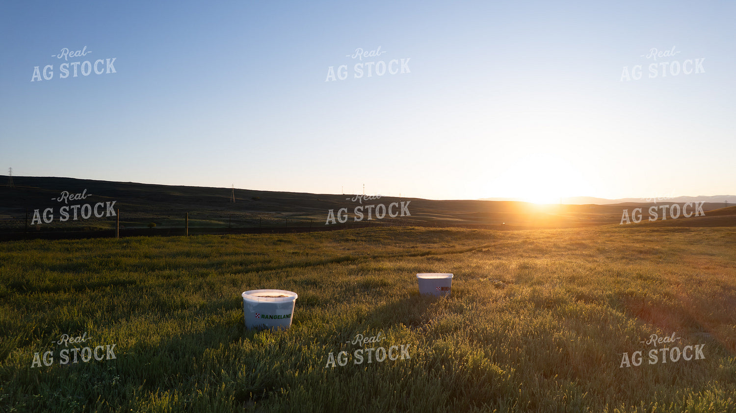 Scenic Pasture 65252