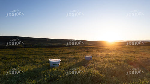 Scenic Pasture 65252