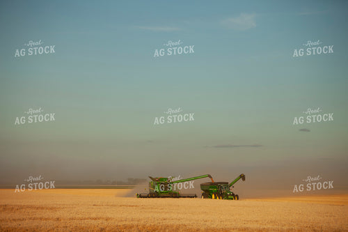 Wheat 2154