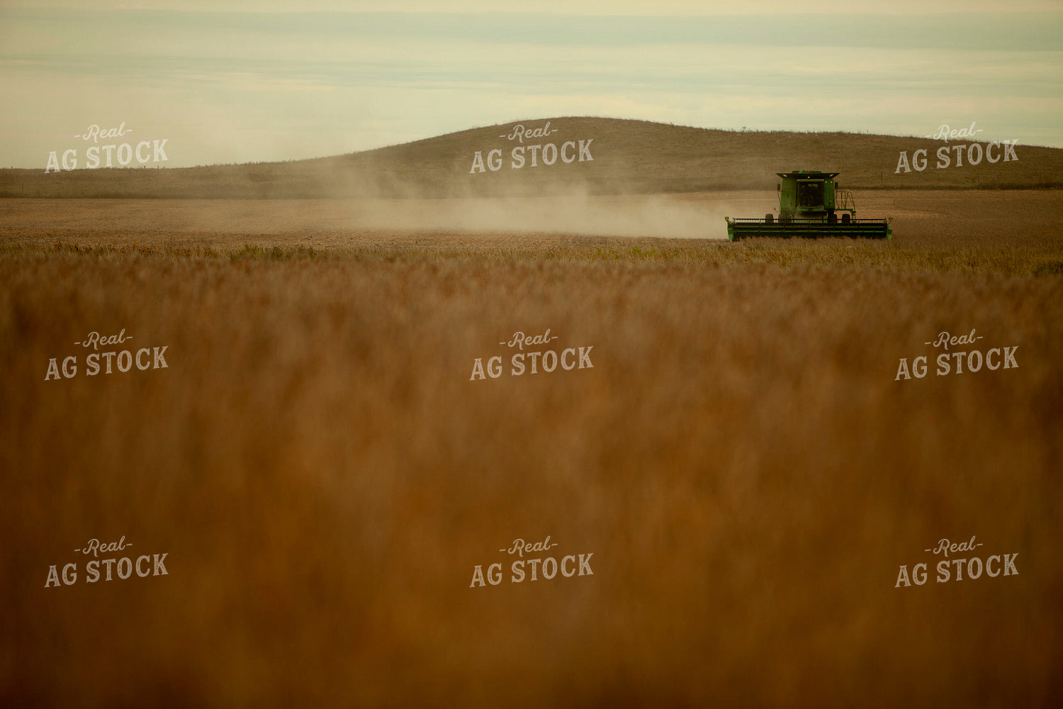 Harvest 1794
