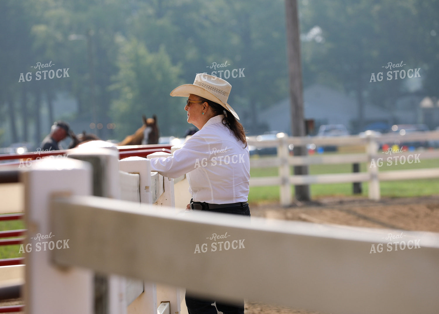 Equestrian Competition Judge 160068