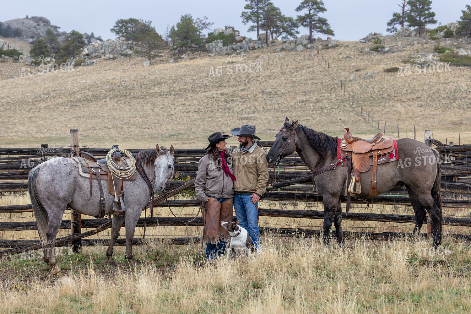 Cowboy and Cowgirl with Horses 290036