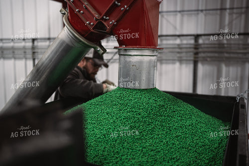 Treating Seed 196008