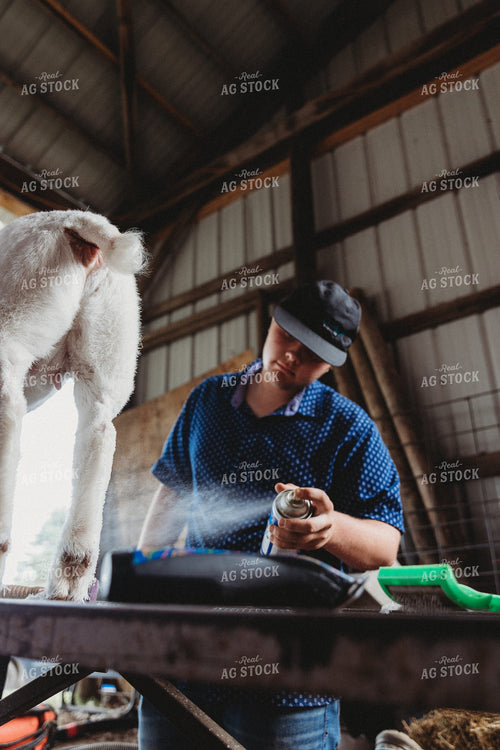 Showing Goats 116023