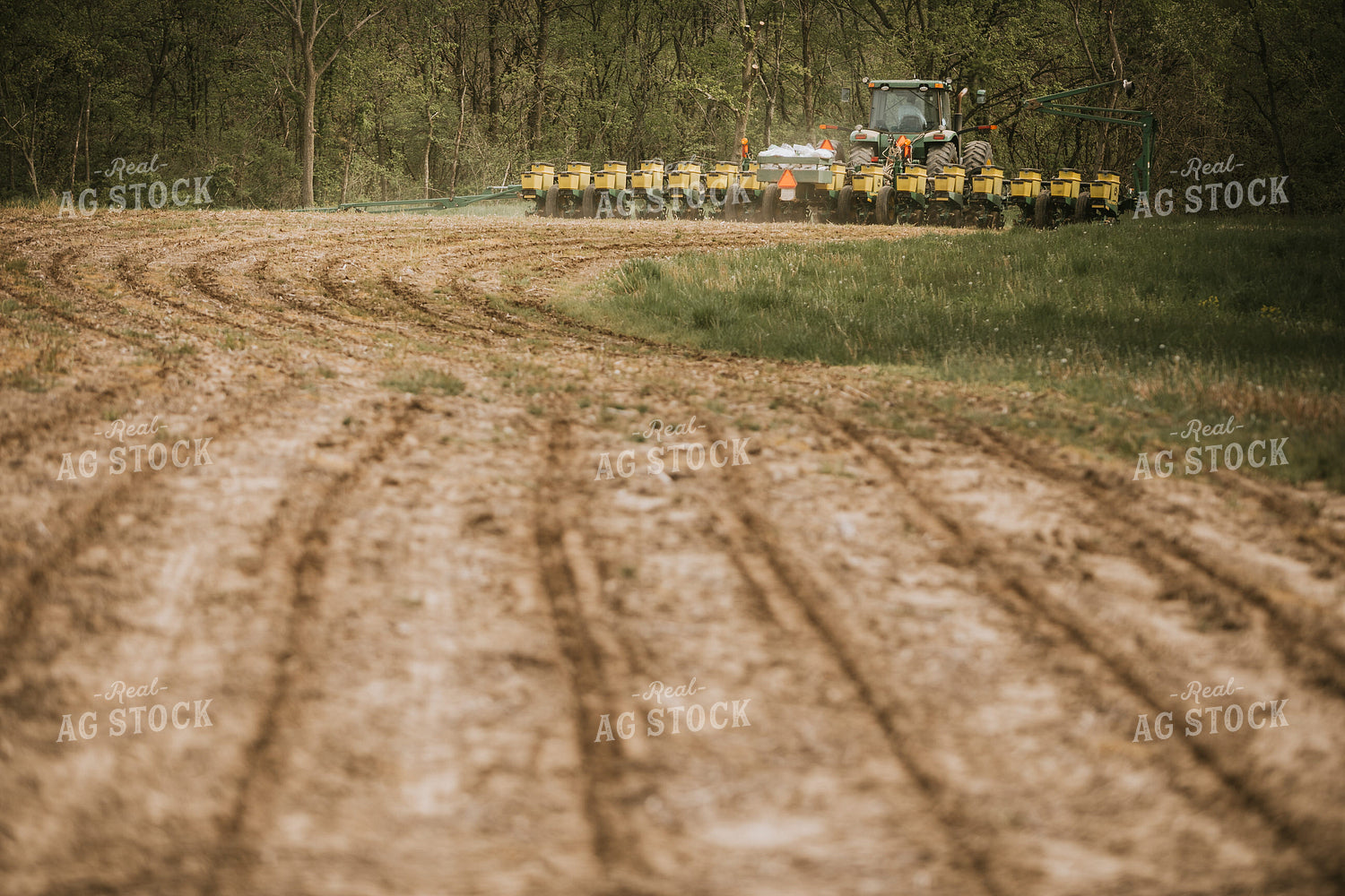 Planting Corn on No-Till Ground 4023