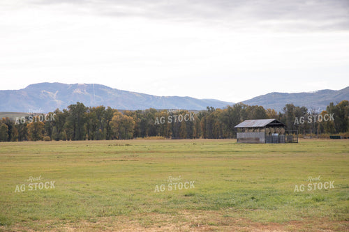 Scenic Pasture 117161