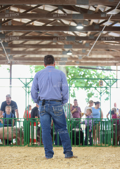 Pig Show Judge 160274