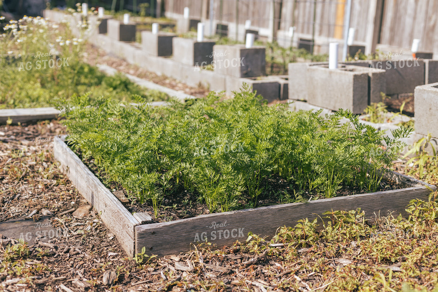 Raised Garden Bed 162038