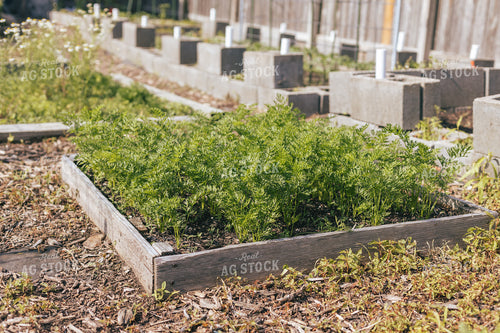 Raised Garden Bed 162038