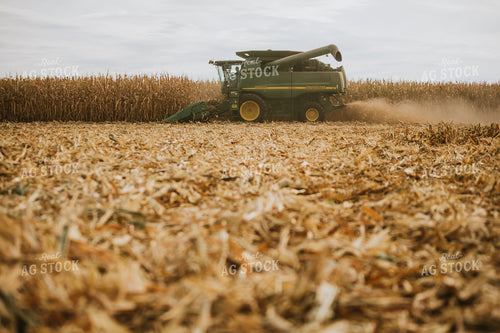 Corn Harvest 6561