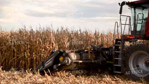Harvesting Corn on Flat Ground - 479