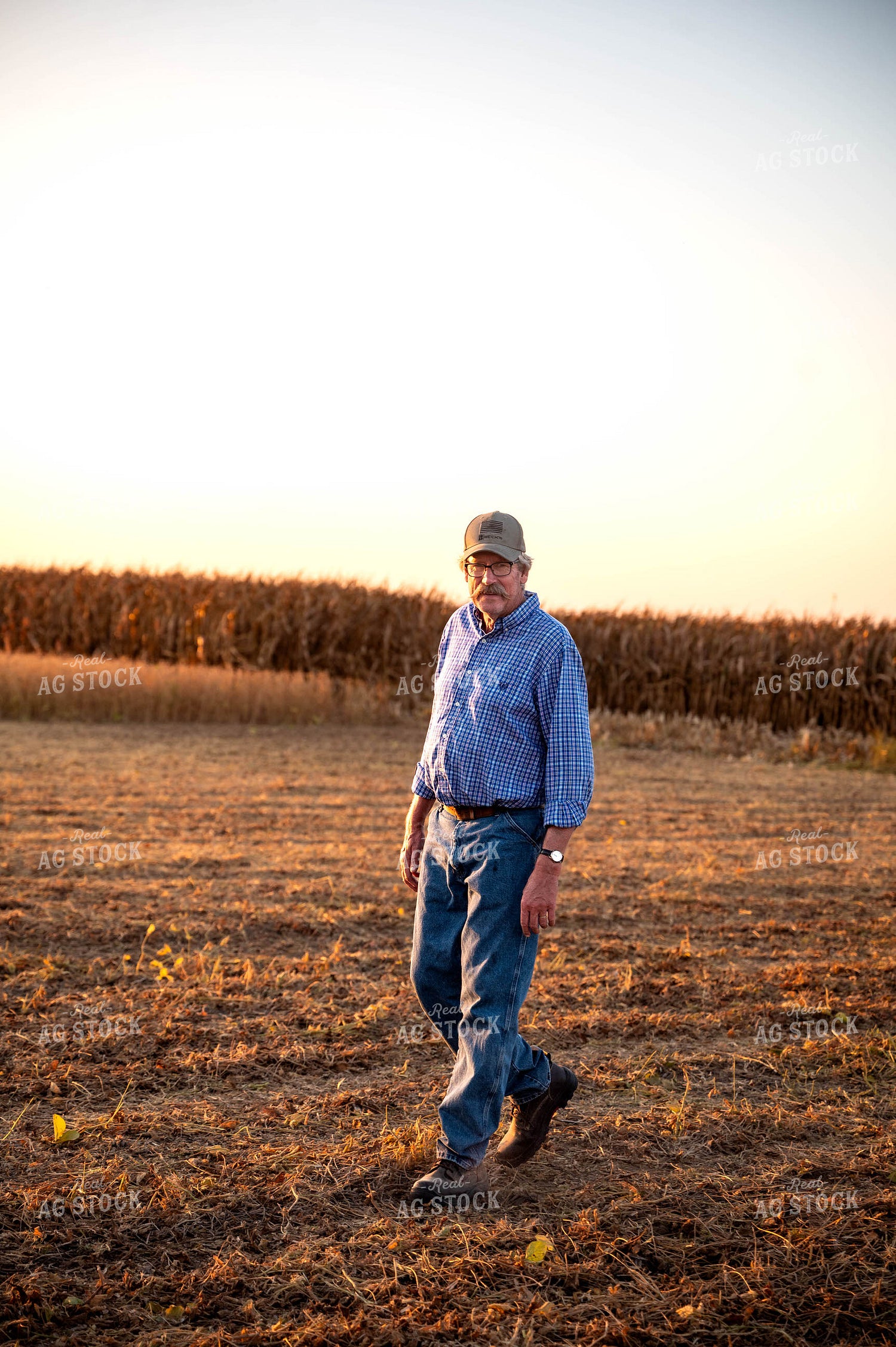 Farmer in Field 115882