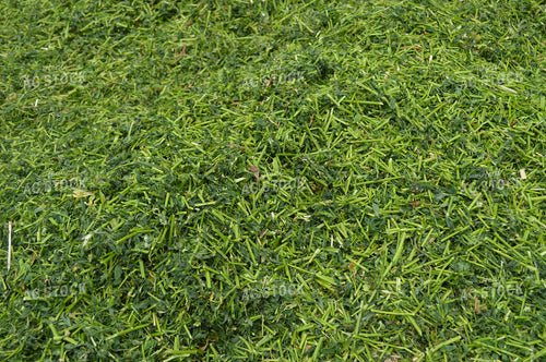 Haylage 206052