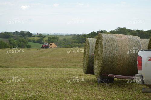 Baling Hay 206039