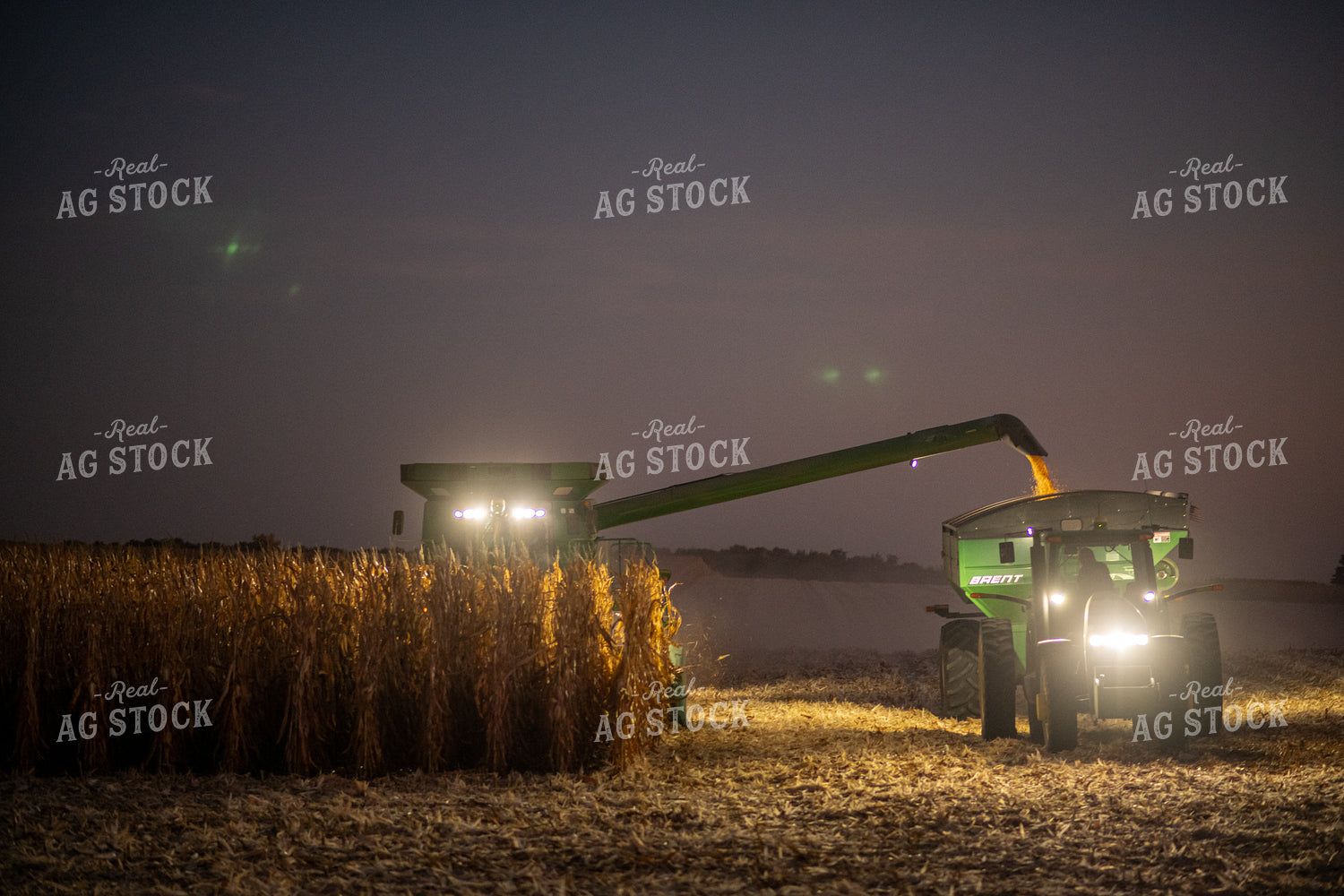 Corn Harvest at Night 76348