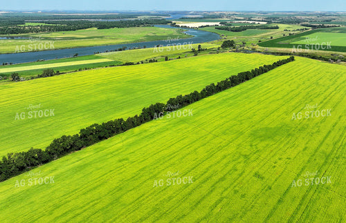 Aerial of Fields Along the River 141646