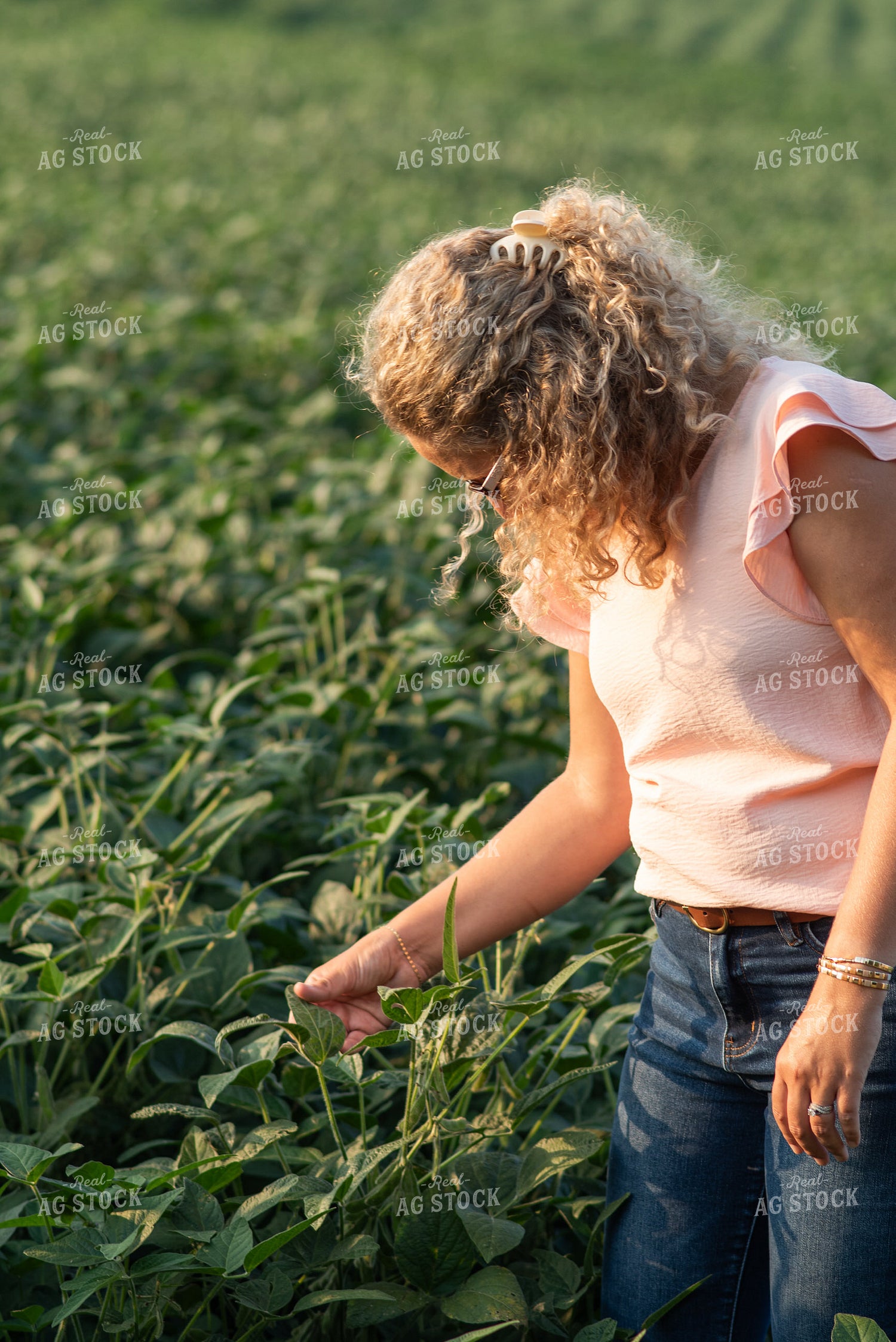 Farmer Scouting Soybeans 76589