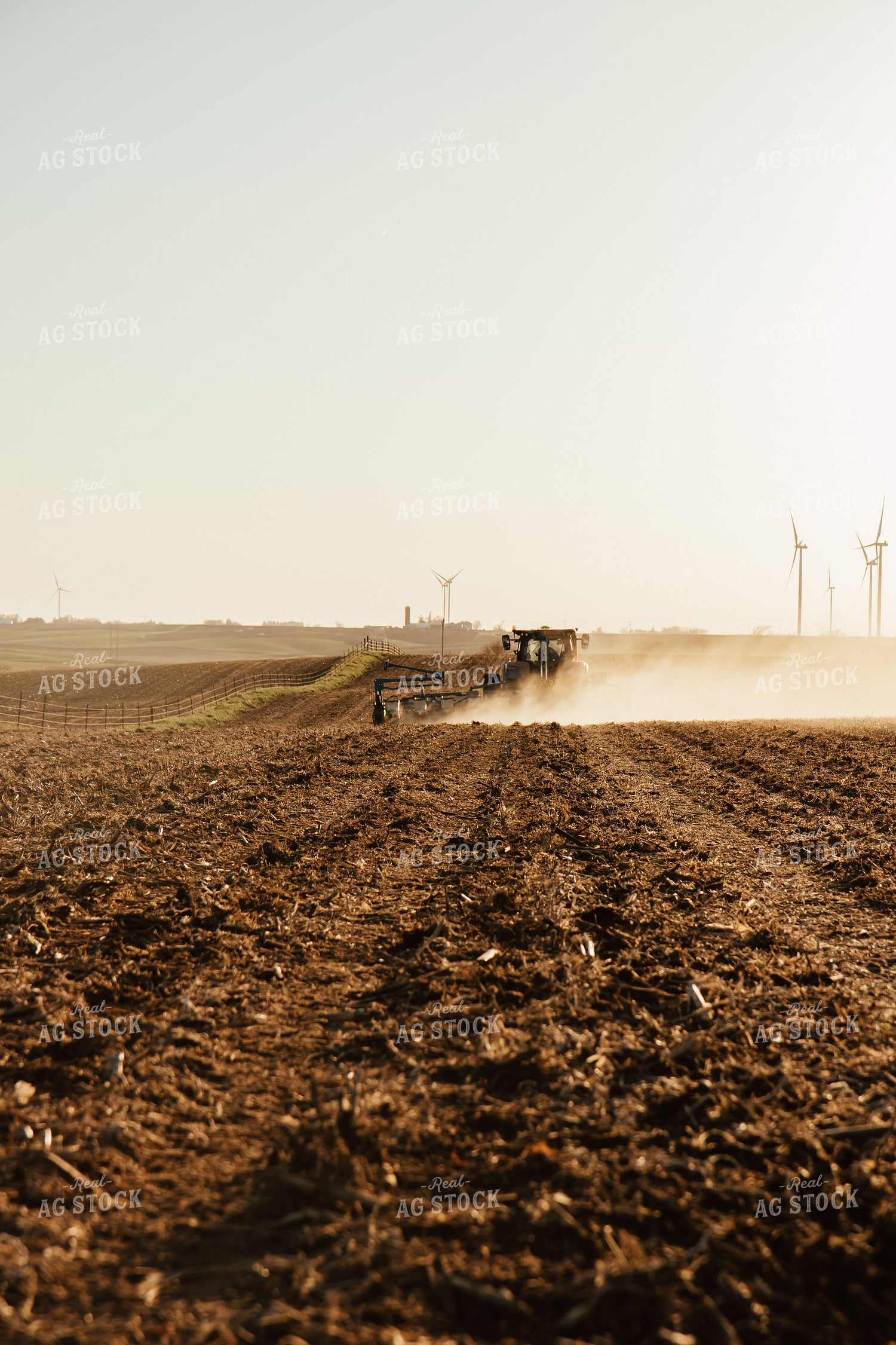 Planting 67867