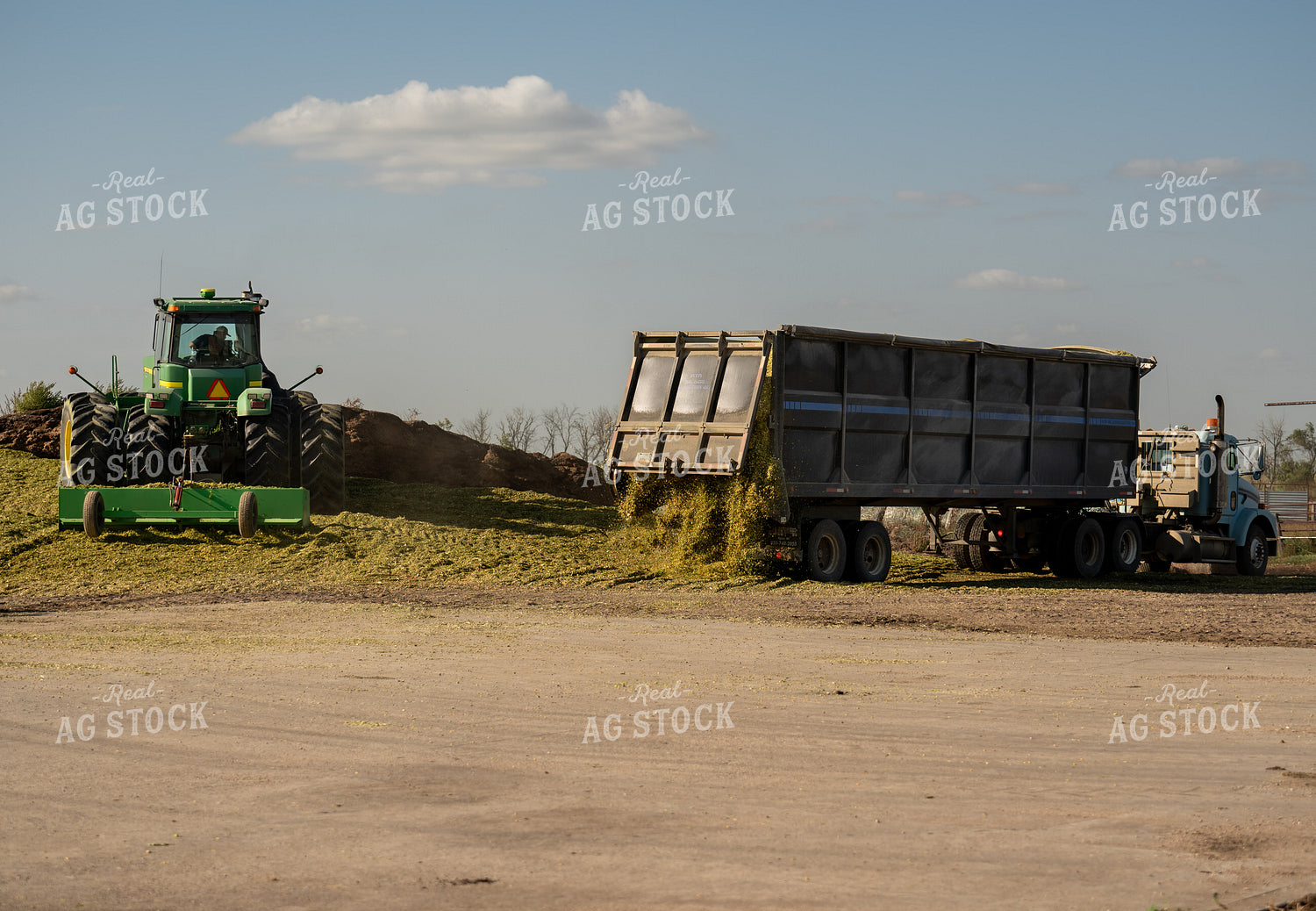 Storing Silage 185185