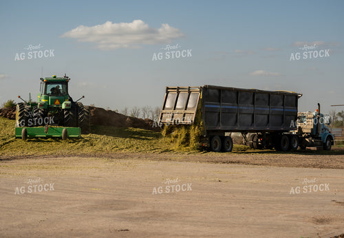 Storing Silage 185185