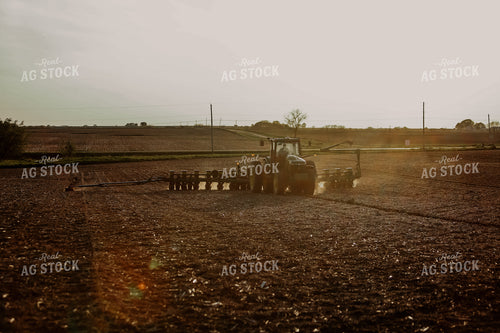 Planting 2869