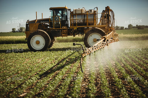 Spraying Soybeans 4357