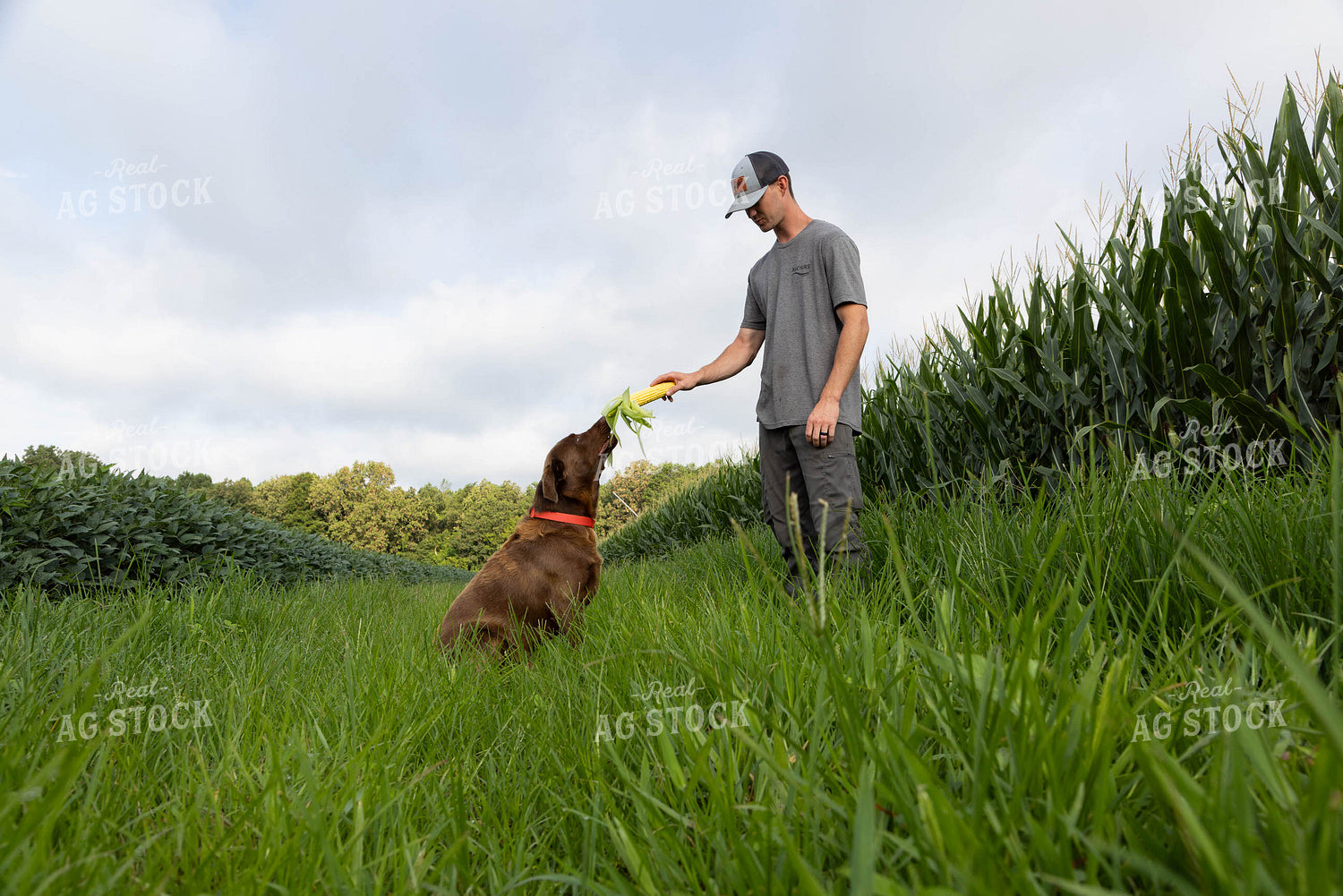 Farmer Bonding with Dog 79701