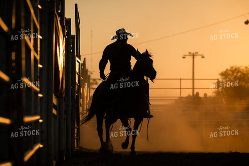 Rodeo 219131