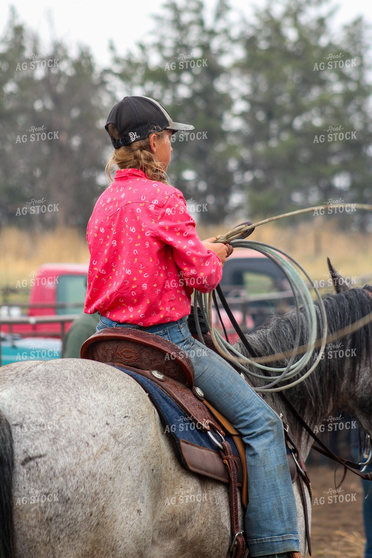 Farm Kid Sorting Cattle on Horseback 237034