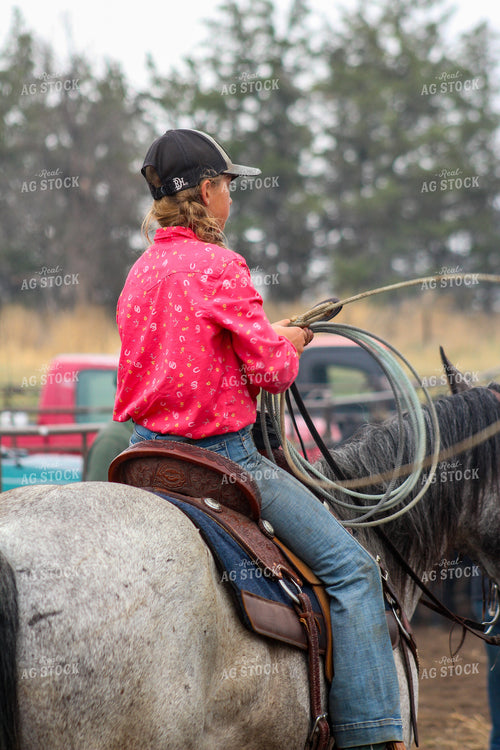 Farm Kid Sorting Cattle on Horseback 237034