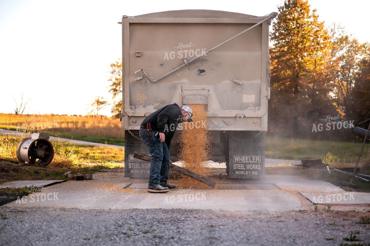Farmer Unloading Semi 115491