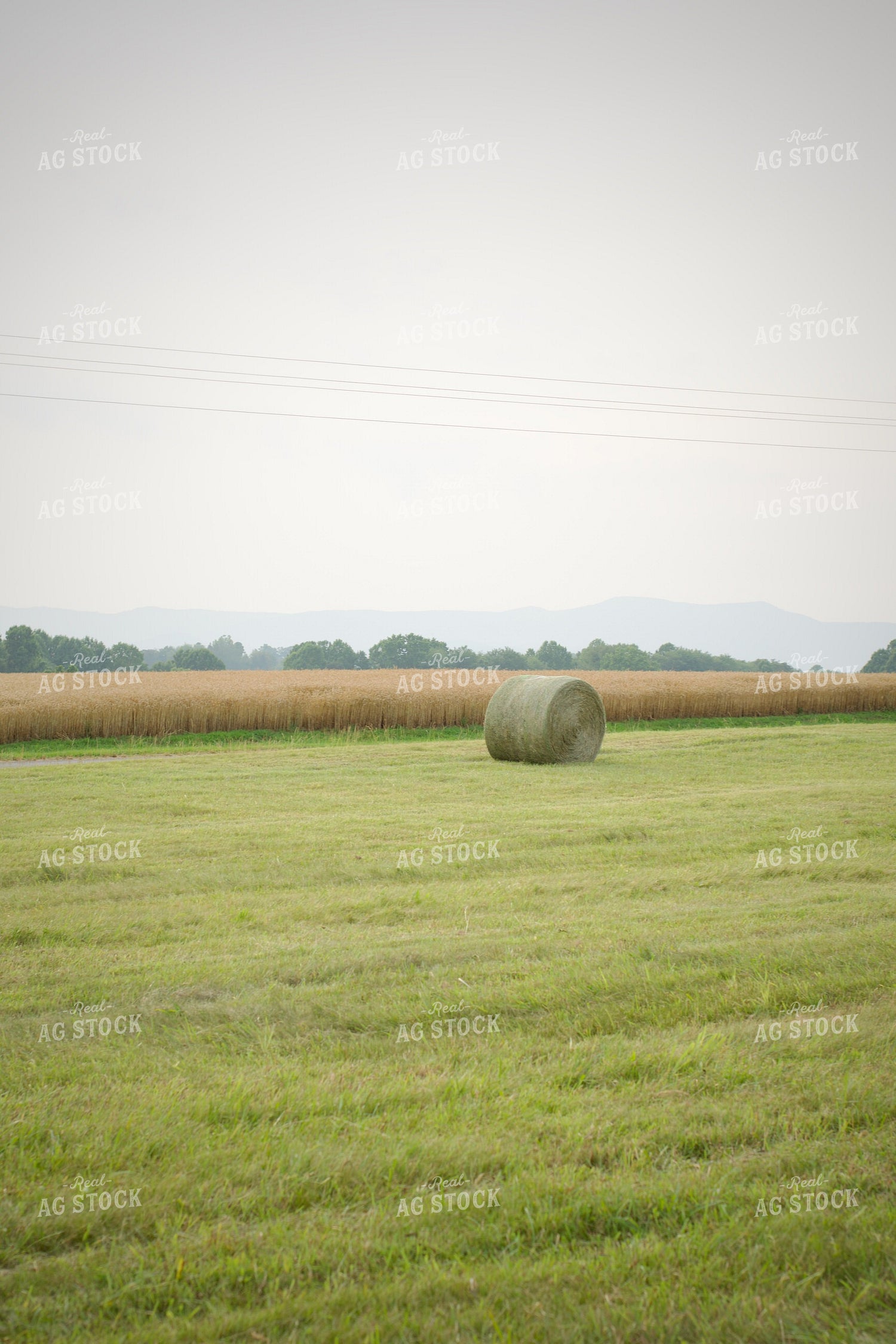 Round Hay Bales 251160