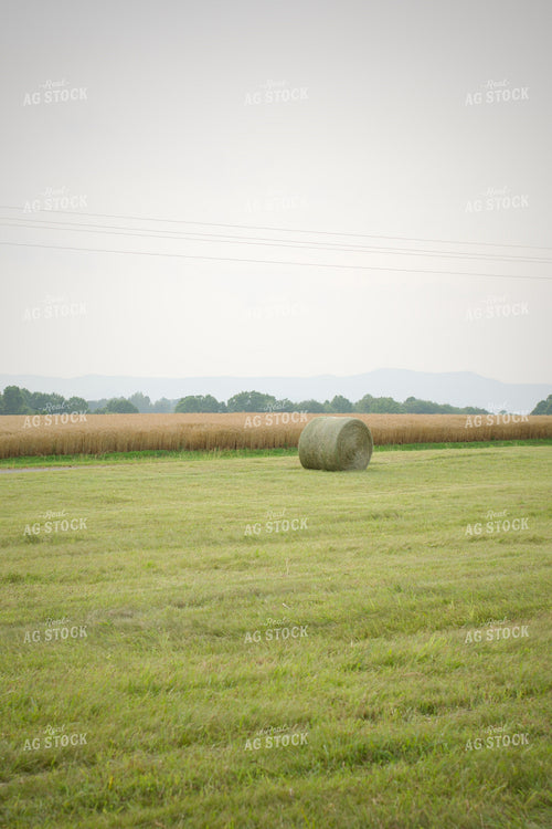 Round Hay Bales 251160