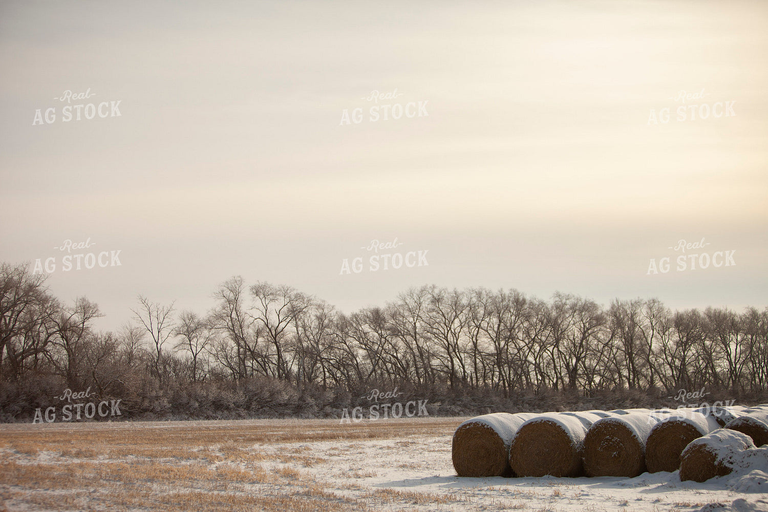 Rural 2028