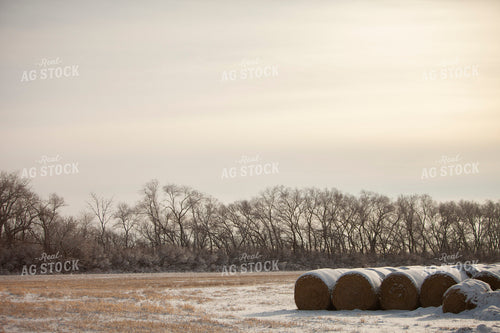 Rural 2028